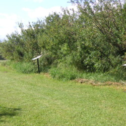 KONICA MINOLTA DIGITAL CAMERA