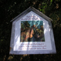 KONICA MINOLTA DIGITAL CAMERA