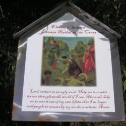 KONICA MINOLTA DIGITAL CAMERA